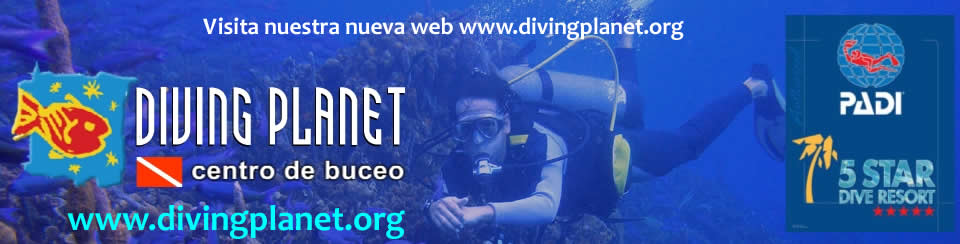 Buceo en Cartagena Colombia