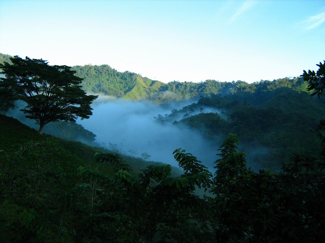 Santa Marta Magdalena Colombia. Guia de turismo y viajes en Colombia. Hoteles, restaurantes, tours, informacion de interes para el viajero en Colombia