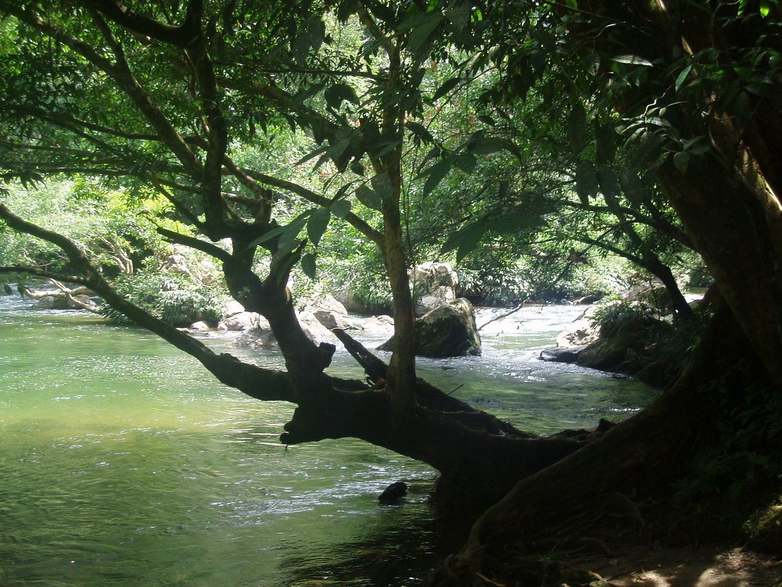 Rio amazonas Leticia Colombia . Guia turistica y de viaes en Colombia, alojamiento, hoteles, tours, informacion turistica y de interes en Colombia Sur America