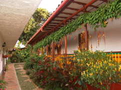 machangara fachada