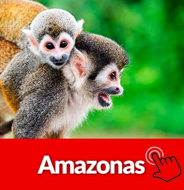 Planes y Viajes al Amazonas Colombia