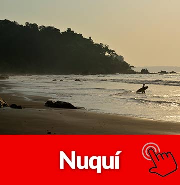 Viajes y Planes a Nuqui